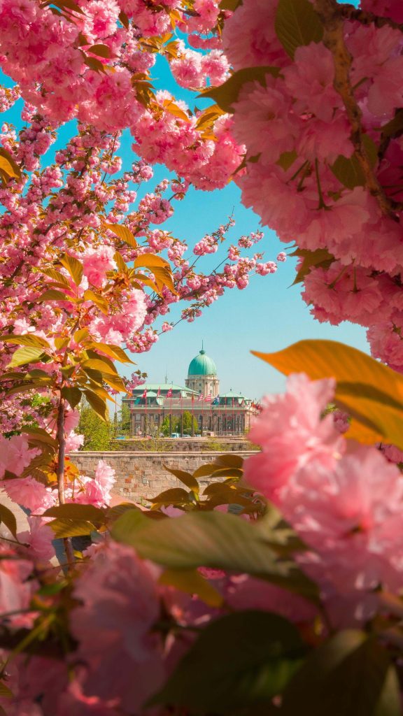 Como é Budapeste na Primavera: Florido e ensolarado