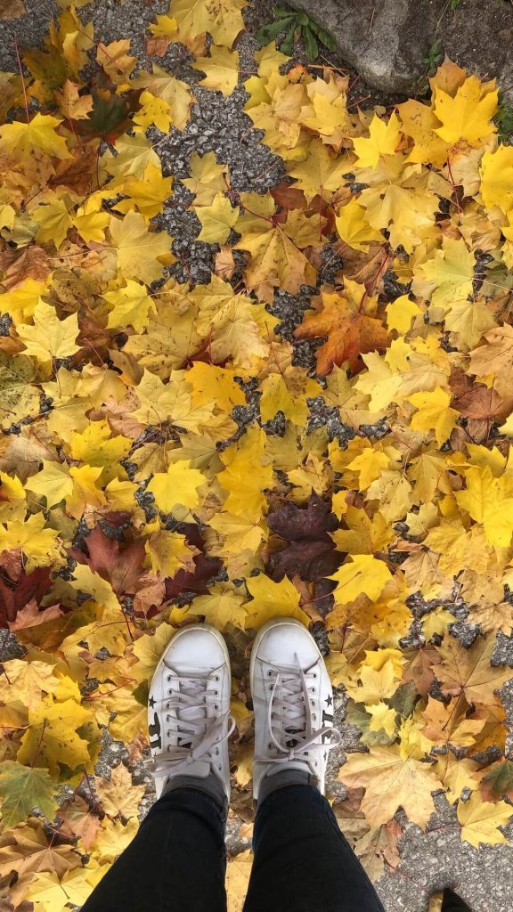 Outono em Budapeste: folhas no chão